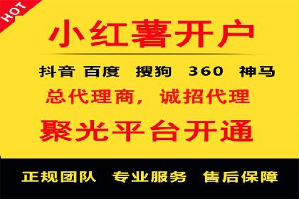 百度SEO推广技巧案例分析